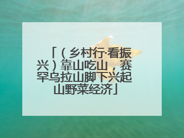 （乡村行·看振兴）靠山吃山，赛罕乌拉山脚下兴起山野菜经济