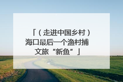（走进中国乡村）海口最后一个渔村捕文旅“新鱼”