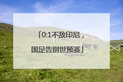 0:1不敌印尼，国足告别世预赛