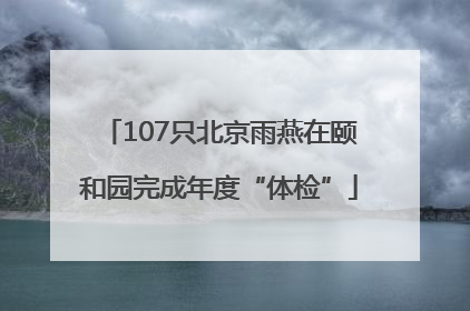 107只北京雨燕在颐和园完成年度“体检”