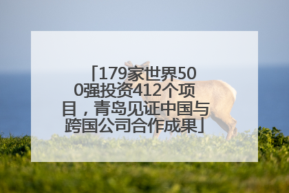 179家世界500强投资412个项目，青岛见证中国与跨国公司合作成果