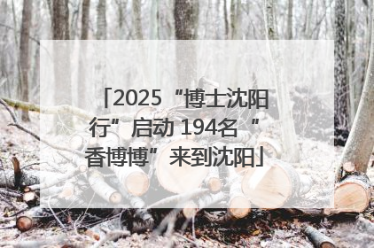 2025“博士沈阳行”启动 194名“香博博”来到沈阳