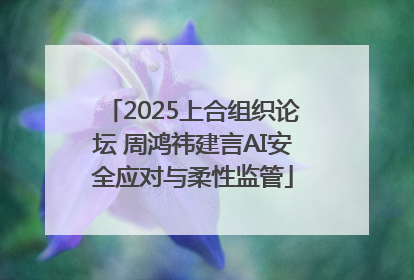 2025上合组织论坛 周鸿祎建言AI安全应对与柔性监管