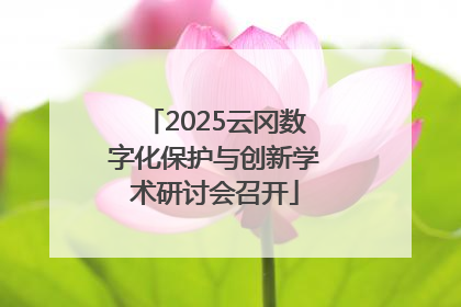 2025云冈数字化保护与创新学术研讨会召开