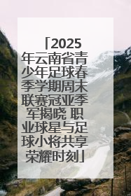 2025年云南省青少年足球春季学期周末联赛冠亚季军揭晓 职业球星与足球小将共享荣耀时刻