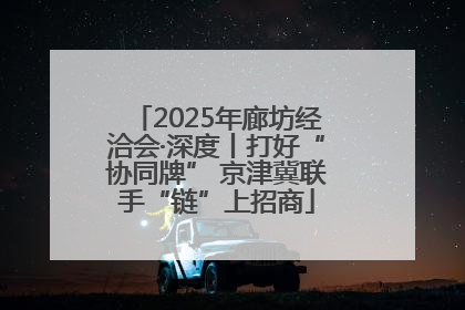 2025年廊坊经洽会·深度丨打好“协同牌” 京津冀联手“链”上招商