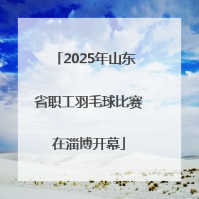 2025年山东省职工羽毛球比赛在淄博开幕