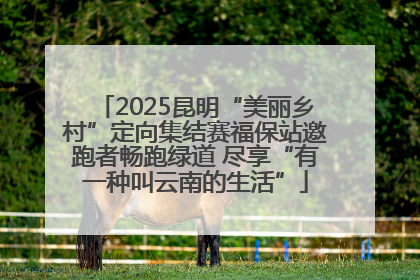 2025昆明“美丽乡村”定向集结赛福保站邀跑者畅跑绿道 尽享“有一种叫云南的生活”