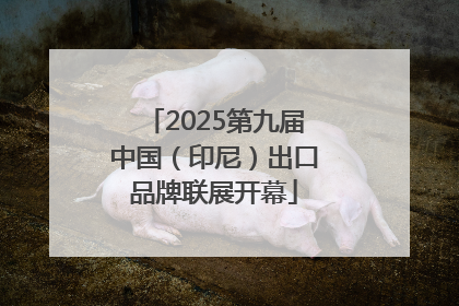 2025第九届中国（印尼）出口品牌联展开幕