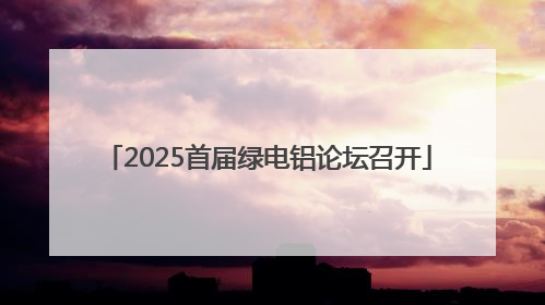 2025首届绿电铝论坛召开