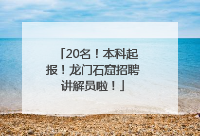 20名！本科起报！龙门石窟招聘讲解员啦！