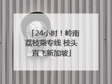 24小时！岭南荔枝乘专线 枝头直飞新加坡