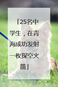 25名中学生，在青海成功发射一枚探空火箭