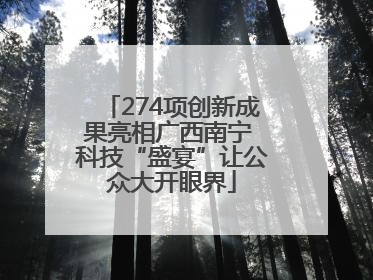 274项创新成果亮相广西南宁 科技“盛宴”让公众大开眼界