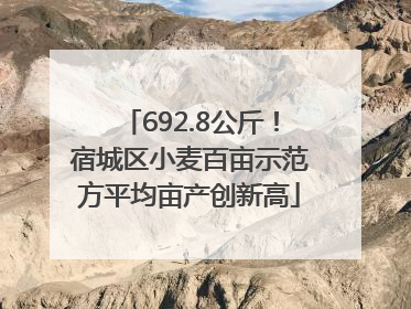 692.8公斤！宿城区小麦百亩示范方平均亩产创新高
