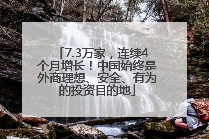 7.3万家，连续4个月增长！中国始终是外商理想、安全、有为的投资目的地