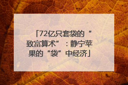 72亿只套袋的“致富算术”：静宁苹果的“袋”中经济
