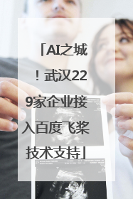 AI之城！武汉229家企业接入百度飞桨技术支持
