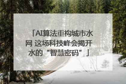 AI算法重构城市水网 这场科技峰会揭开水的“智慧密码”