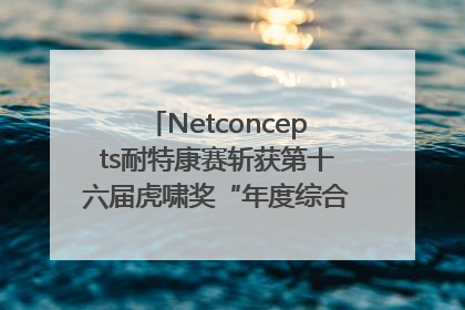 Netconcepts耐特康赛斩获第十六届虎啸奖“年度综合服务商”大奖